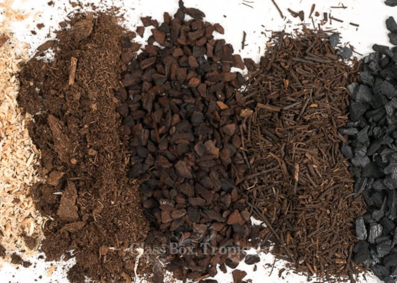ABG Terrarium Substrate 1 Gallon Etsy