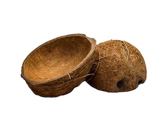 Coconut Shell Half