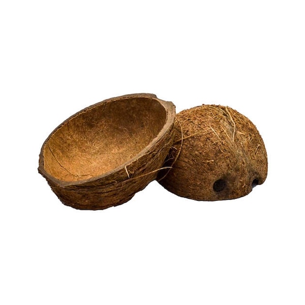 Kokosnussschalenhälfte