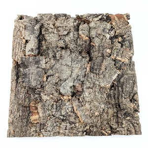 Virgin Cork Bark Panel - Small