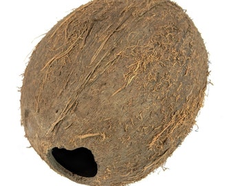 Whole Coconut Shell - emptied out