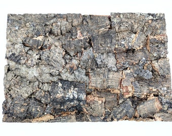 Virgin Cork Bark Panel - Medium