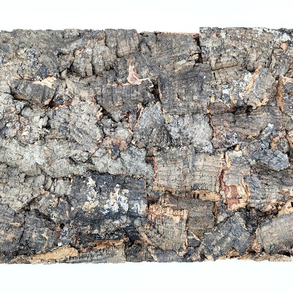 Virgin Cork Bark Panel - Medium