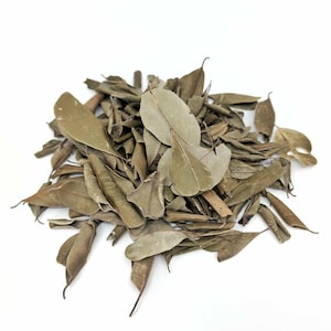 Pode incluir: Um monte de folhas de louro secas, verde-oliva, sobre um fundo branco. As folhas, de tamanhos e formas variadas, estão enroladas ou planas. Têm uma textura coriácea e um aspeto natural e terroso.