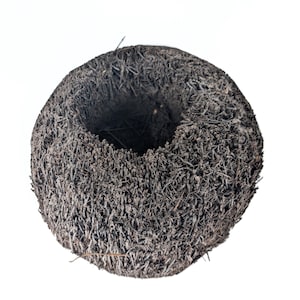 Peut inclure: Un nid d'oiseau rond, brun foncé, tissé avec un centre creux.