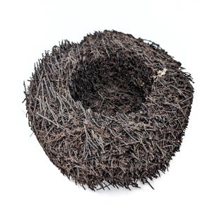 May include: A close-up of a brown bird's nest made of twigs and branches. The nest is empty and appears to be made of natural materials.