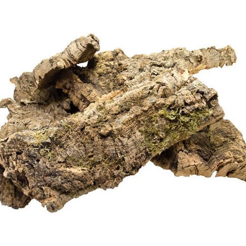 Bulk Small Virgin Cork Bark Tubes 1lb Etsy