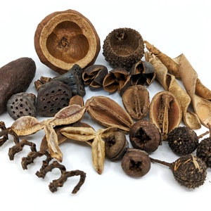 Mini Pods Pack