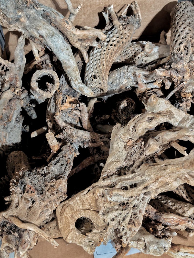 Cholla Root for Terrariums, Aquariums, Shrimp Tanks, Crafts & Home ...