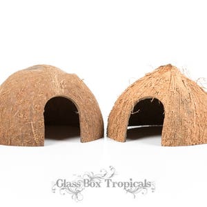 Puede incluir: Dos escondites de cáscara de coco para mascotas pequeñas, uno con la parte superior redondeada y el otro con la parte superior puntiaguda. Ambos tienen una gran abertura para la entrada.