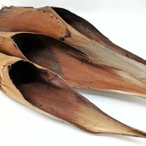 May include: Four dried palm leaves in varying shades of brown and tan are arranged diagonally against a white background. The leaves have a curved, trough-like shape, with visible veins and textures. The natural materials suggest a rustic or tropical theme.