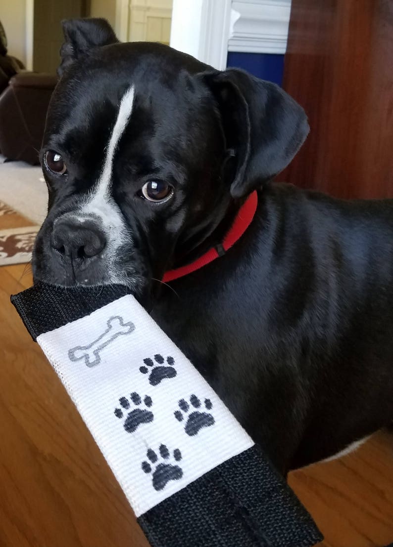 Fire Hose Dog & Puppy Toy Handmade Dog Toy Dog Toys Made Etsy