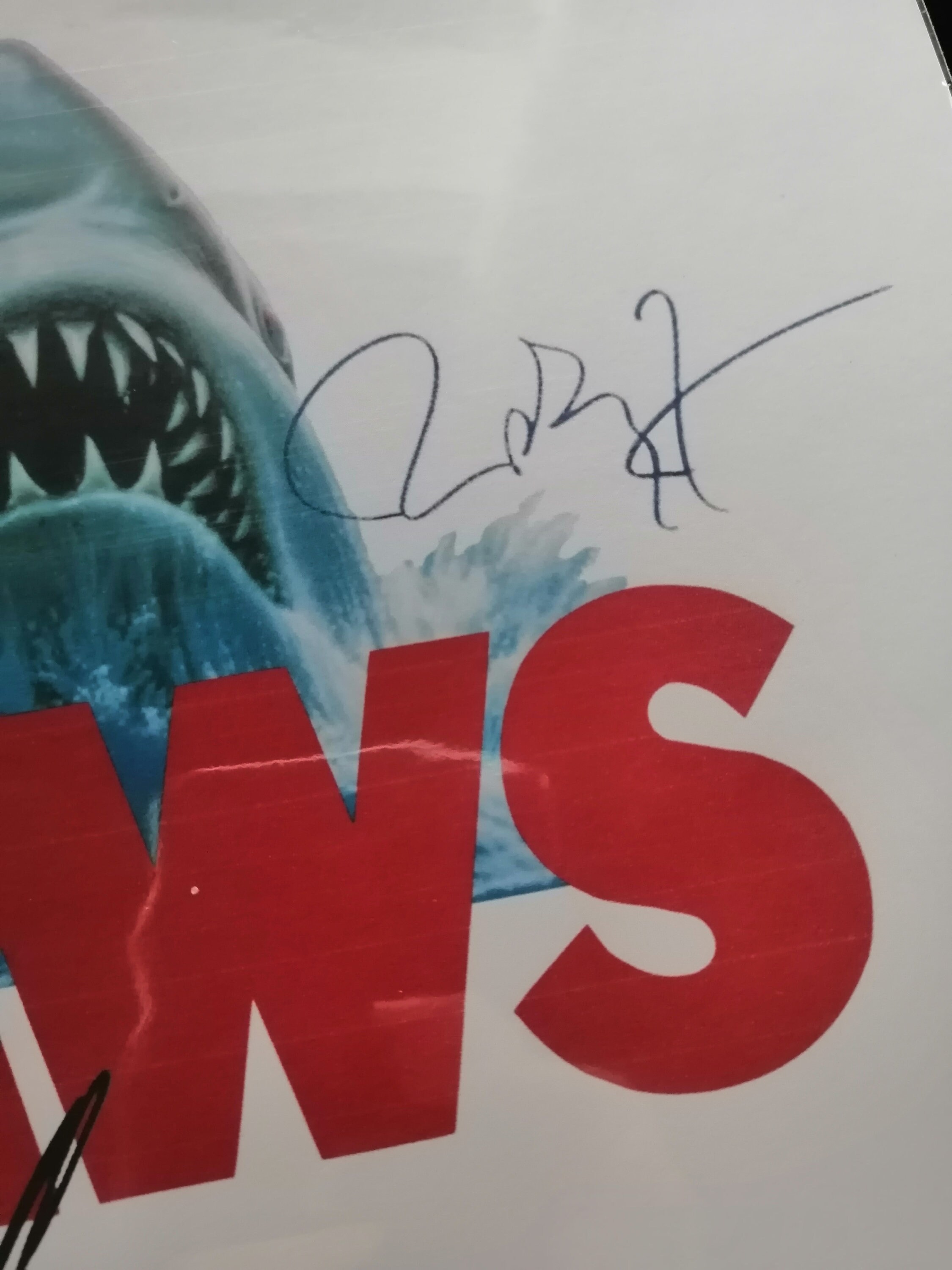 Jaws Film Script with autographs Movie Unique Gift Christmas Etsy
