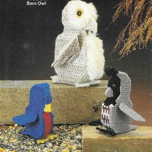 May include: A set of three plastic canvas bird ornaments. The birds are a white barn owl, a blue bird, and a gray bird. The owl is labeled "Wise Guy Barn Owl". The birds are sitting on a wooden surface with birdseed scattered around them.