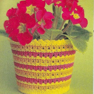 Può includere: Un vaso per fiori all'uncinetto con strisce gialle e rosa. Il vaso è pieno di fiori di primula rosa.