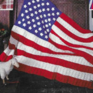 May include: A crocheted American flag blanket in red, white, and blue. The blanket is folded and draped over a chair.