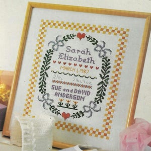 Birth Sampler cross stitch pattern PDF