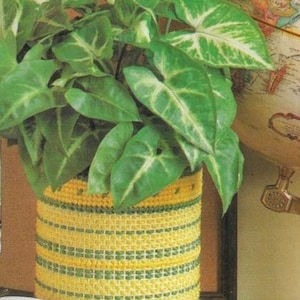 May include: A green and yellow crocheted plant pot with a green leafy plant inside. The pot has a striped pattern.