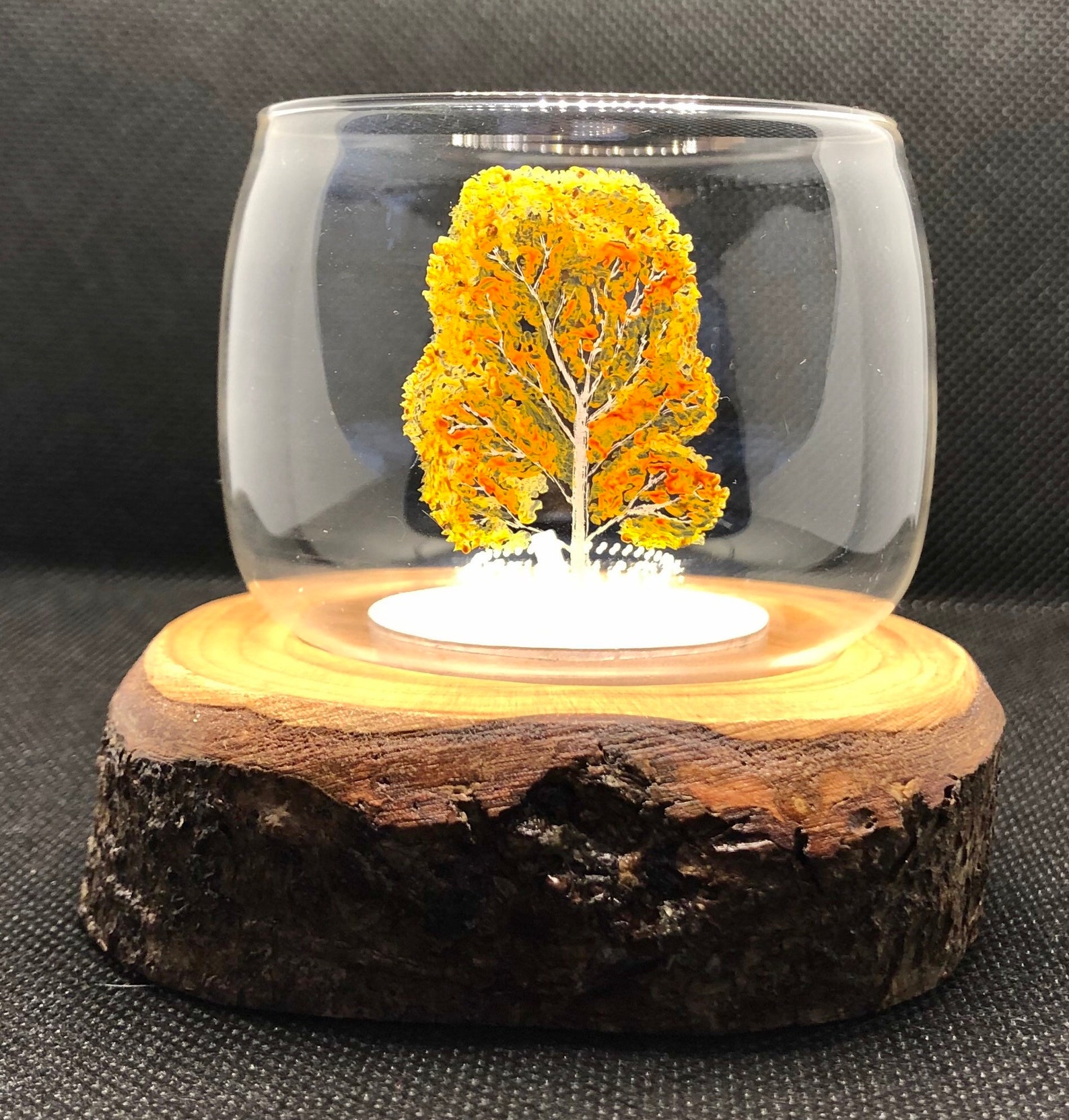 Single glass tealight holder with freehand white birch tree engraving and Dartmoor wood base