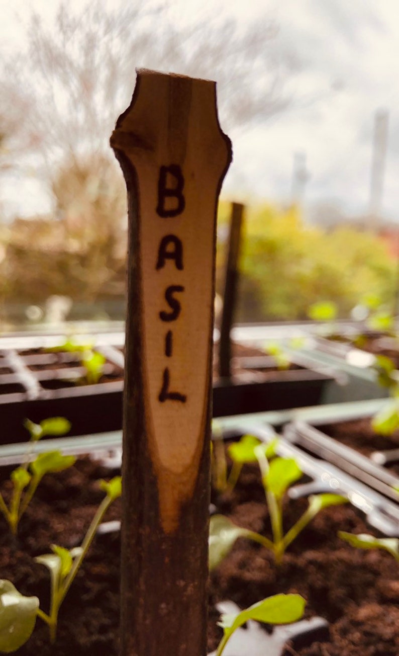 35 Metal Plant Label Stakes Labels Design Ideas 2020