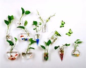 Glass Terrarium - Plant Wall Decor - Indoor Planter - Wall Vase - Wall Planter - Wall Terrarium - Terrarium Planter - Terrarium Decor