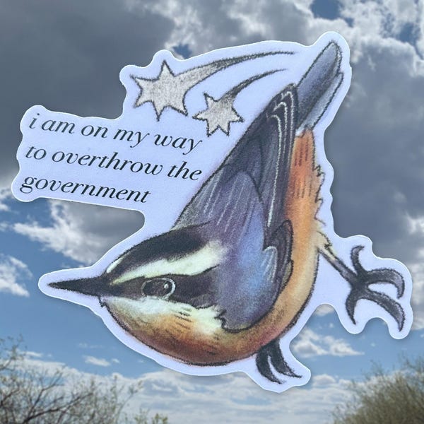 mischievous nuthatch sticker | bird sticker
