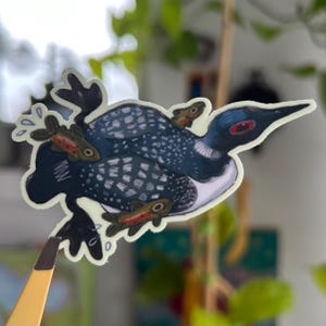 autocollant de plongeon huard | autocollant oiseau | autocollant de poisson