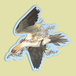 autocollant de fou de bassan | sticker oiseau