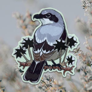 May include: A sticker featuring a stylized illustration of a bird with gray, white, and brown feathers, perched on barbed wire. The bird has a black beak and eye, with black star-shaped elements around it. The sticker has a light green border.