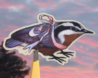 transgender nuthatch sticker | LGBTQ sticker | bird sticker