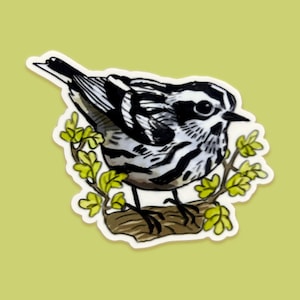 black and white warbler sticker | bird art