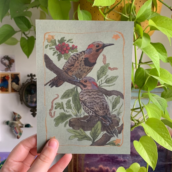 northern flickers print | north american birds