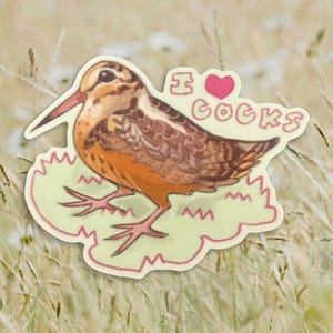 Sticker j'aime les bécasses | oeuvre d'art d'oiseau