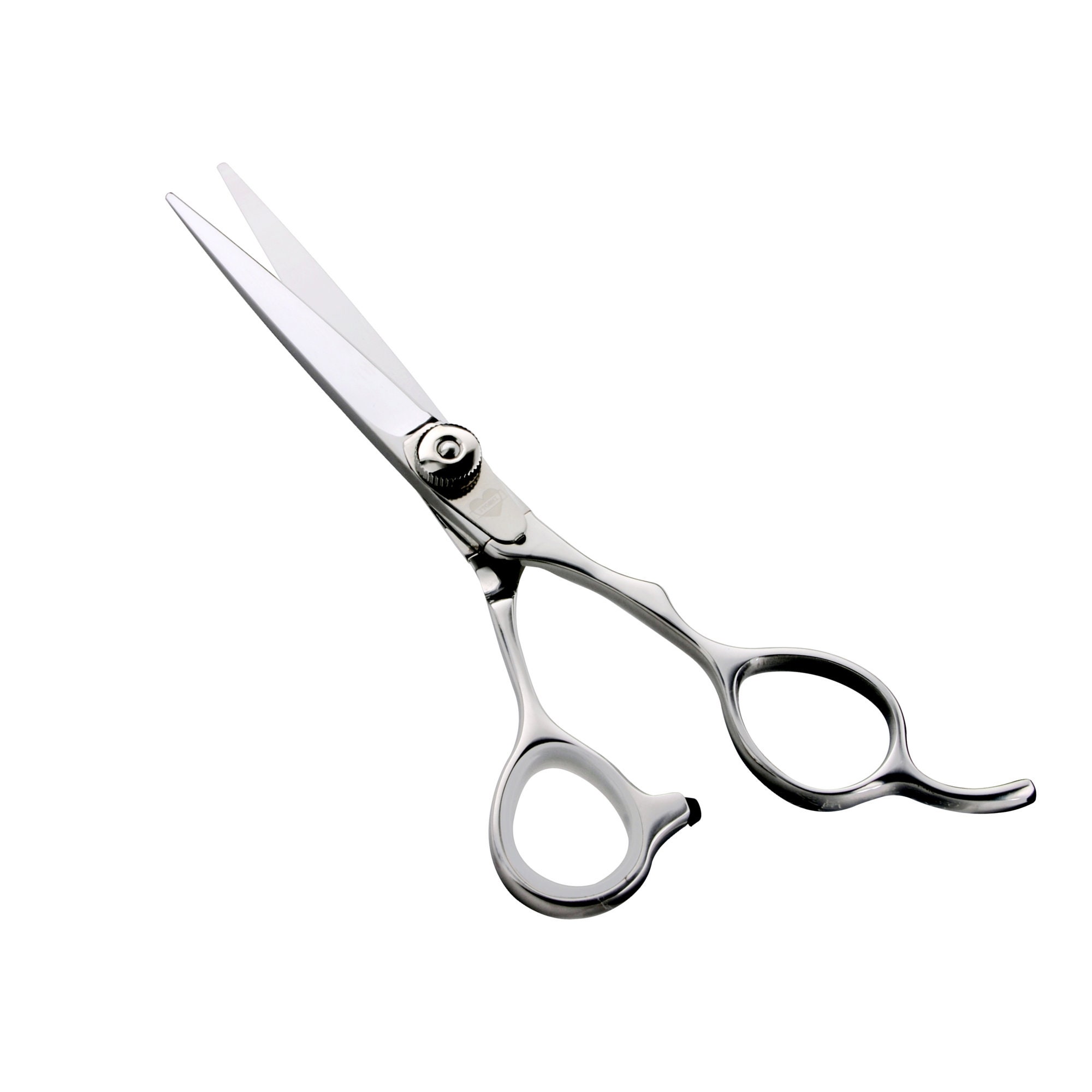 5.5 Tungsten Titan Cobalt Hair Cutting Scissors Best for Dry Cut TA550 Free  Holder Gift 