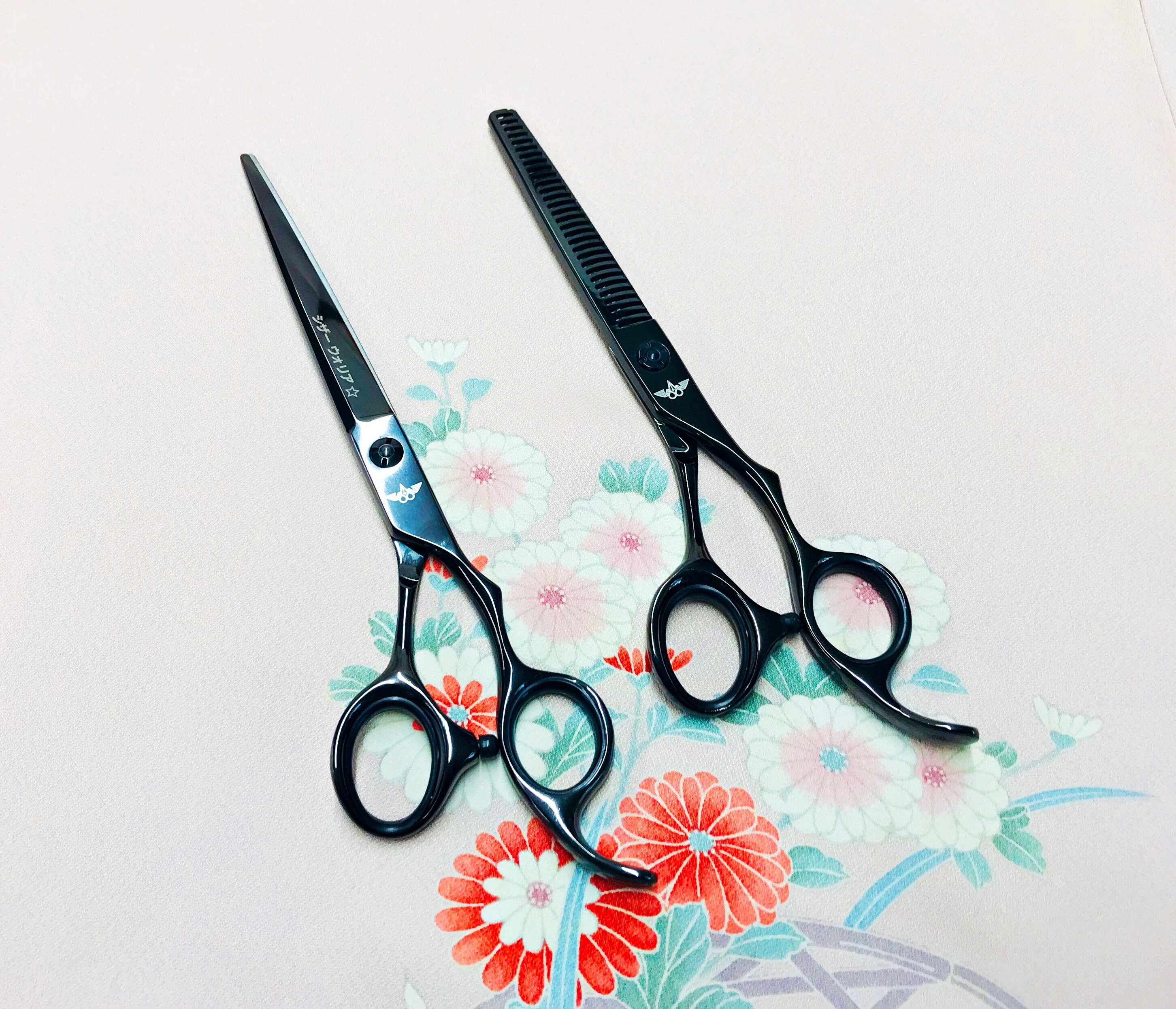 Black Hair Scissors Set - Cutting and Thinning Blade Set for Cosmetology Students and Barbers - Ideal Gift for Hairstylists