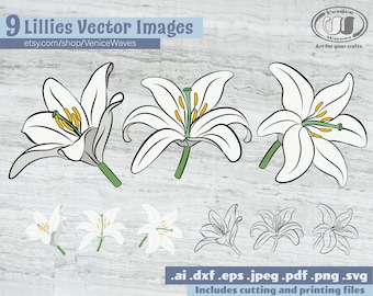Lilly SVG, Lilly Cut File, Lilly Clipart, Lilly PDF, Lilly Download, Descarga Digital, Descarga Instantánea, Archivos Cricut, Archivos Silhouette