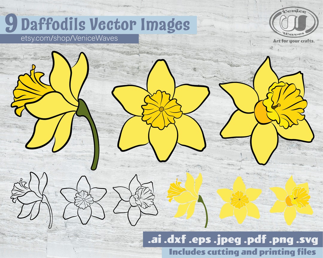 Daffodils SVG, Daffodils Cut File, Daffodils Clipart, Daffodils PDF