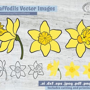 May include: Nine vector images of daffodils in various styles. Some are yellow with black outlines, others are black and white outlines only. The images are suitable for cutting and printing.