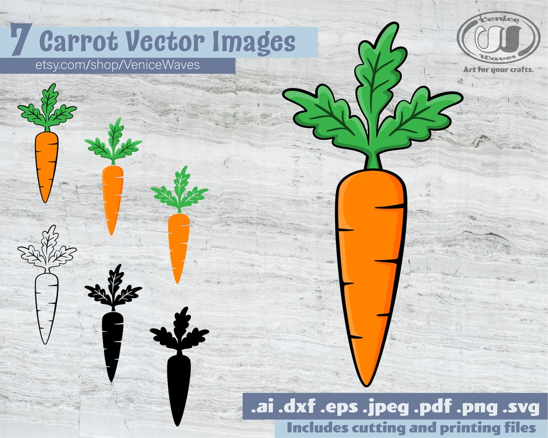 Carrot SVG, Carrot Cut File, Carrot Clipart, Carrot PDF, Carrot