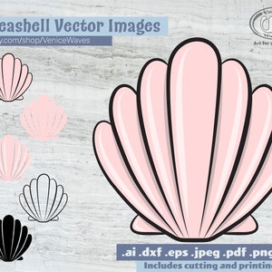 Seashell SVG, Seashell Cut File, Seashell Clipart, Seashell PDF, Seashell Download, Digital Download, Instant Download, Cricut Files