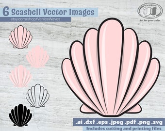 Seashell SVG, Seashell Cut File, Seashell Clipart, Seashell PDF, Seashell Download, Digital Download, Instant Download, Cricut Files