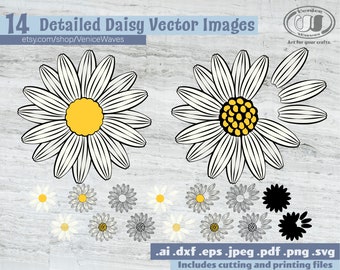 Detallada Daisy SVG, Daisy Cut File, Daisy Clipart, Daisy PDF, Daisy Download, Descarga Digital, Descarga Instantánea, Archivos Cricut, Silueta