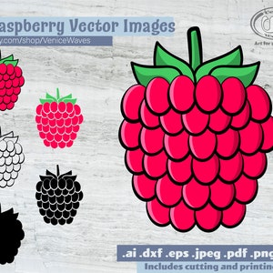 Raspberry SVG, Raspberry Cut File, Raspberry Clipart, Raspberry PDF, Raspberry Download, Digital Download, Instant Download, Cricut Files