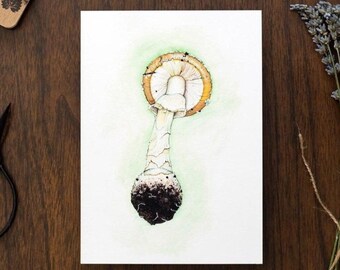 Panther Mütze Pilz Aquarell Giclée Kunstdruck