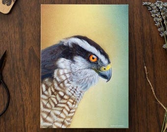オオタカのジクレーアートプリント、猛禽類の壁掛けアート、鳥のイラスト装飾