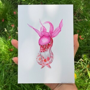 Impression de fleur d'orchidée de chausson de fée, calypso bulbosa, art mural botanique, peinture à l'aquarelle image 2