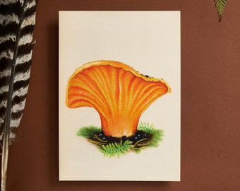 Lobster Mushroom & Moss Print , mushroom wall art