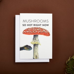 Carte de voeux champignon, drôle de carte, vierge à l&#39;intérieur