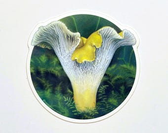 Golden Chanterelle Mushroom Sticker, Botanical Illustration Sticker, Mushroom Waterproof Decal, Whimsical  Forest Sticker