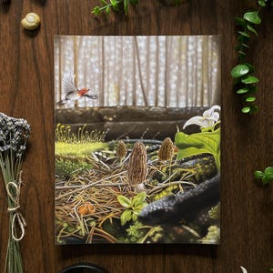 Burn Morels Mushroom Art Print - Forest Conservation Wall Decor, Nature Art Prints, Nature Art Painting